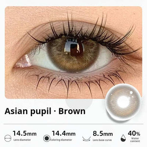 Close-up of an eye wearing "Asian pupil - Brown" contact lenses, designed to enhance natural brown irises with a soft blend. Specifications: 14.5mm diameter, 14.4mm graphic diameter, 8.5mm base curve, 40% water content.