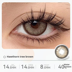 Close-up of an eye wearing "Hawthorn tree brown" contact lenses, showing a warm, earthy brown shade with a defined outer ring. Specifications: 14.5mm diameter, 14.0mm graphic diameter, 8.5mm base curve, 40% water content.