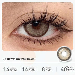 Close-up of an eye wearing "Hawthorn tree brown" contact lenses, showing a warm, earthy brown shade with a defined outer ring. Specifications: 14.5mm diameter, 14.0mm graphic diameter, 8.5mm base curve, 40% water content.