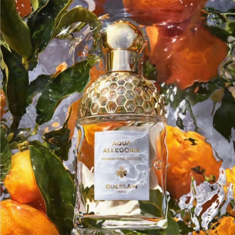 عبوة عطر غيرلان Citrus Basil بين زهور البرتقال وأوراق الريحان