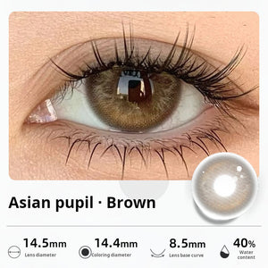 Close-up of an eye wearing "Asian pupil - Brown" contact lenses, designed to enhance natural brown irises with a soft blend. Specifications: 14.5mm diameter, 14.4mm graphic diameter, 8.5mm base curve, 40% water content.