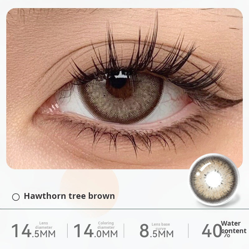 Close-up of an eye wearing "Hawthorn tree brown" contact lenses, showing a warm, earthy brown shade with a defined outer ring. Specifications: 14.5mm diameter, 14.0mm graphic diameter, 8.5mm base curve, 40% water content.