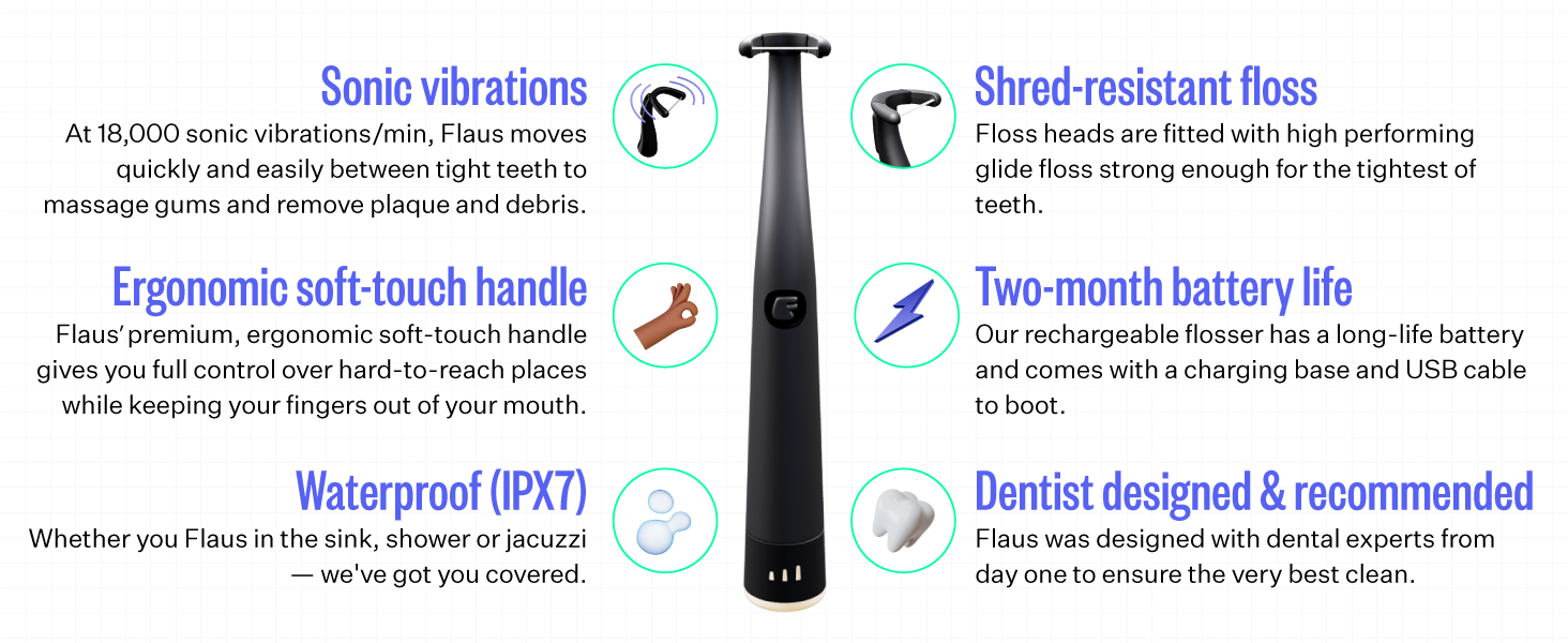 FLAUS Electric Flosser 3-speed 45 replacement head water flosser stick.