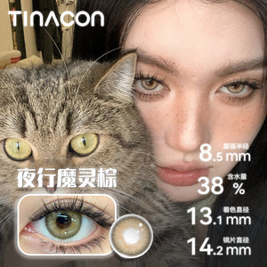 [Live Streaming Exclusive] Tina, beautiful pupils, Japanese throws, Asian mixed-race, size, diameter, brown, amber, Tina.