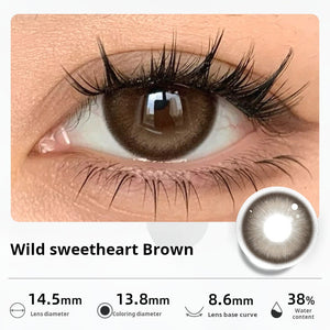 Close-up of an eye wearing "Wild sweetheart Brown" contact lenses, with a prominent dark ring and rich brown center. Specifications: 14.5mm diameter, 13.8mm graphic diameter, 8.6mm base curve, 38% water content.