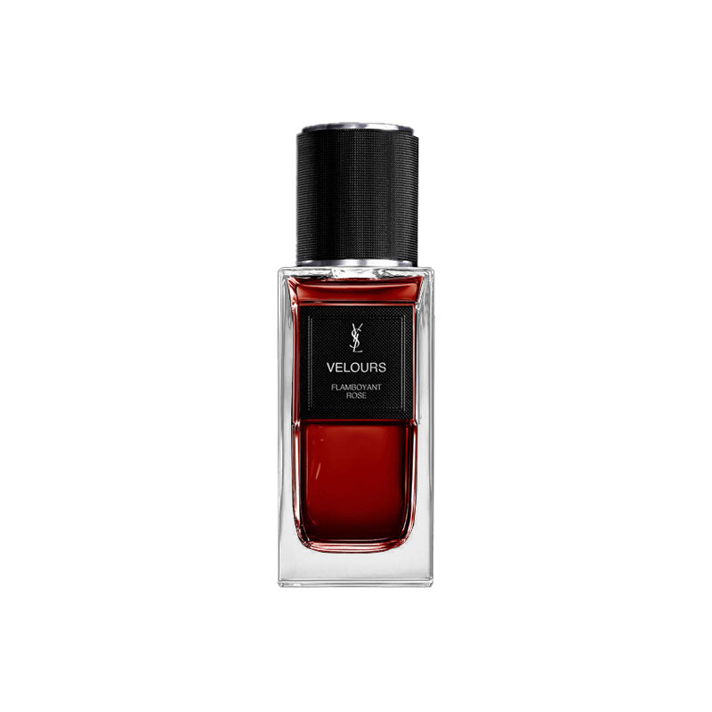 زجاجة عطر سان لوران فيلور Velours من الأمام